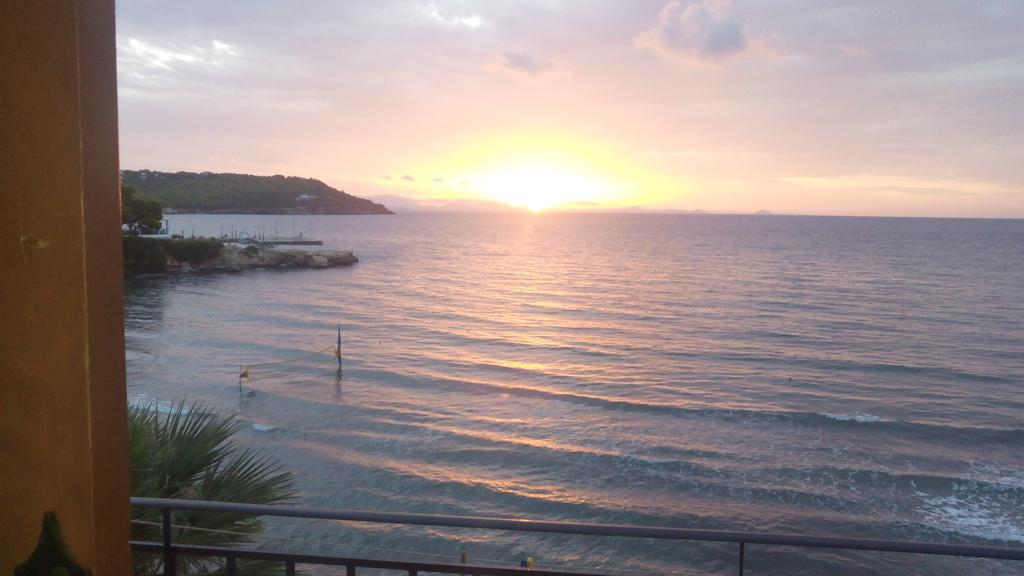 Oasis Hotel Theodoros & Litsa Galaris Agia Marina  Bagian luar foto